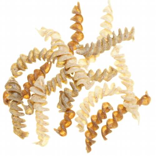 Dinkel-Spiralen mit Ölsaaten